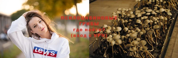 соль ск Нефтегорск