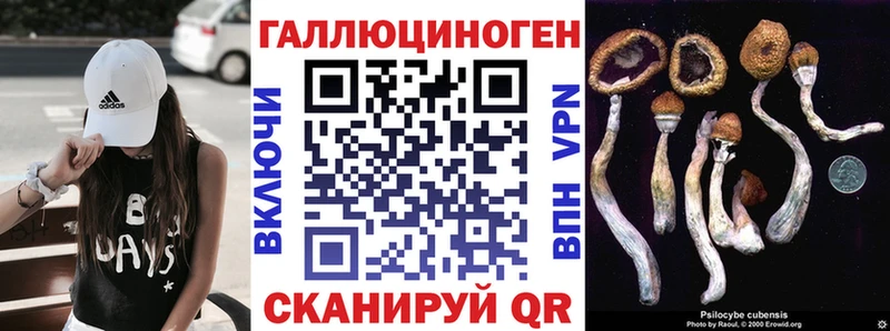 Купить закладки  Ростов-на-Дону  Галлюциногенные грибы MAGIC MUSHROOMS 